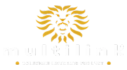 multilink_udine