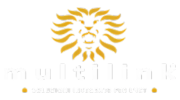 multilink_udine